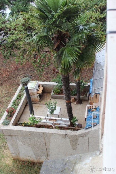 фото Задара