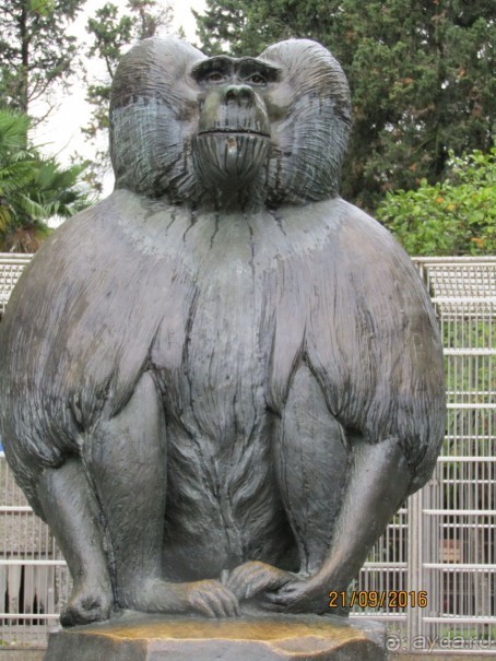 отдых в Гюэносе Сухум 