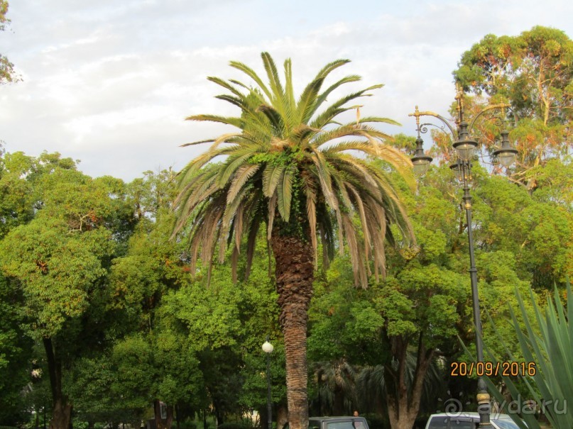 отдых в Гюэносе Сухум 