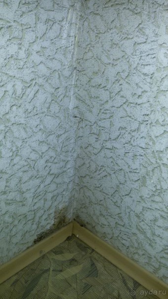 фото Донские зори