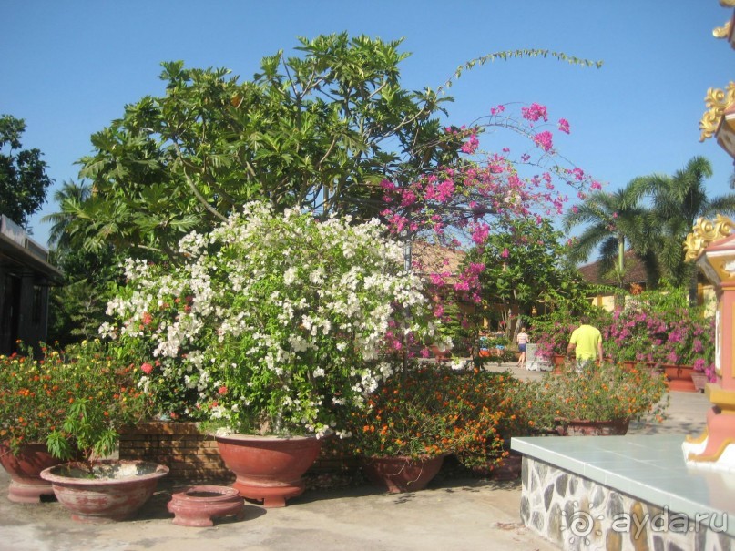 Вьетнам.Пагода Винь Чан