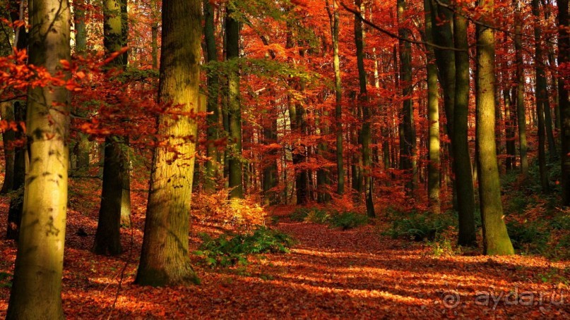 Санаторий КОЛОС в Кисловодске лучший!