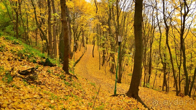 Санаторий КОЛОС в Кисловодске лучший!