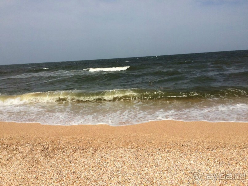 Хорошее соотношение цены и качества