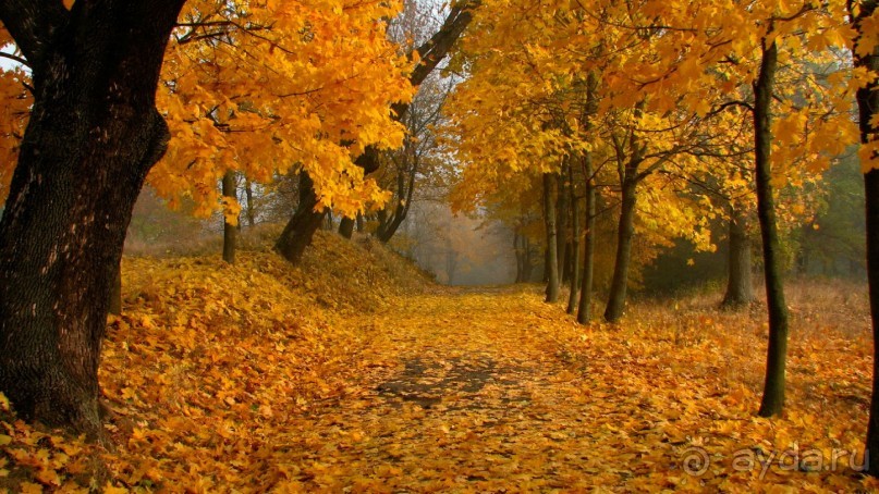 Спасибо коллективу санатория "Колос" за прекрасный отдых!