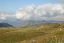 фото Металлург