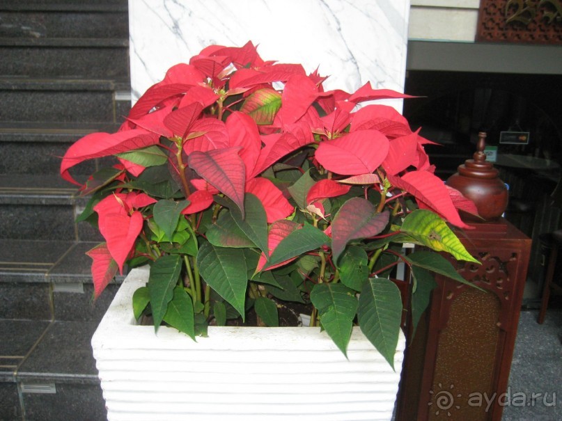 Отель Au Lac II 3*, Хошимин