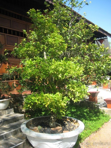 Экскурсия по дельте Меконга