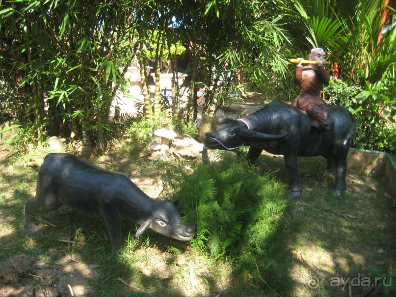 Экскурсия по дельте Меконга