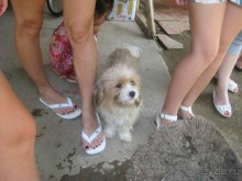 Экскурсия по дельте Меконга