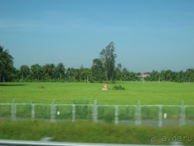 Экскурсия по дельте Меконга