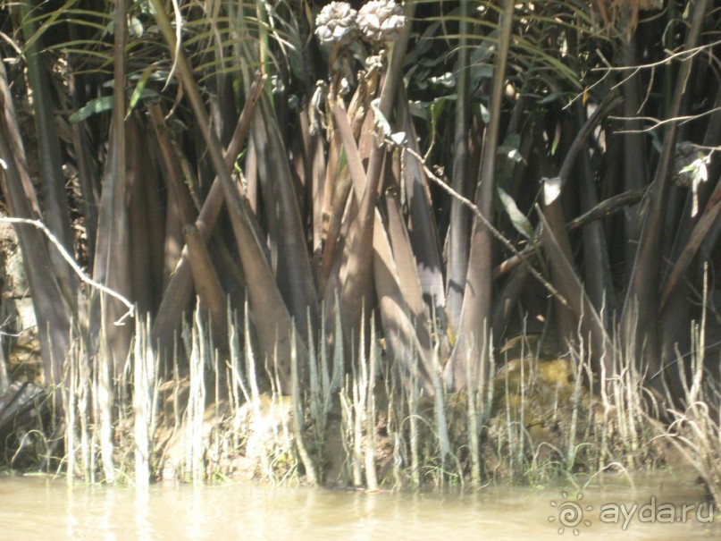 Экскурсия по дельте Меконга