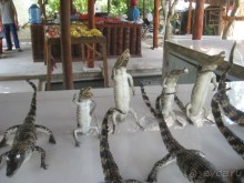 Экскурсия по дельте Меконга