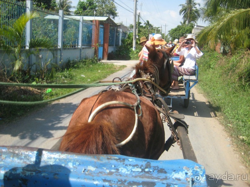 Экскурсия по дельте Меконга