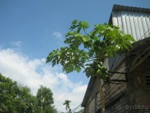 Экскурсия по дельте Меконга