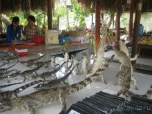 Экскурсия по дельте Меконга