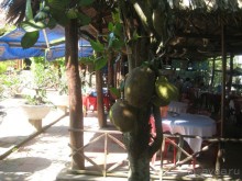 Экскурсия по дельте Меконга