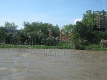 Экскурсия по дельте Меконга