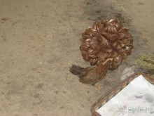 Экскурсия по дельте Меконга