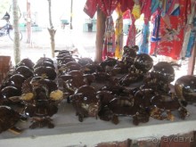 Экскурсия по дельте Меконга