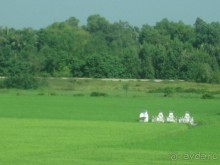 Экскурсия по дельте Меконга