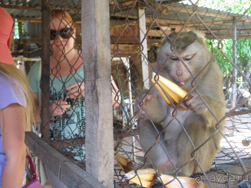 Экскурсия по дельте Меконга