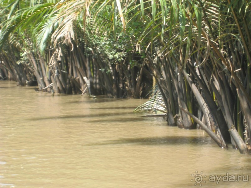 Экскурсия по дельте Меконга