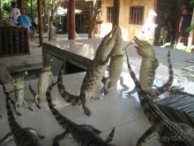 Экскурсия по дельте Меконга