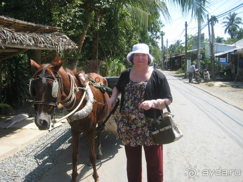 Экскурсия по дельте Меконга