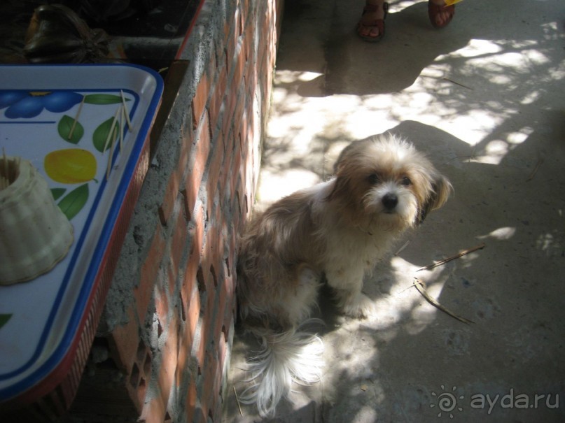 Экскурсия по дельте Меконга