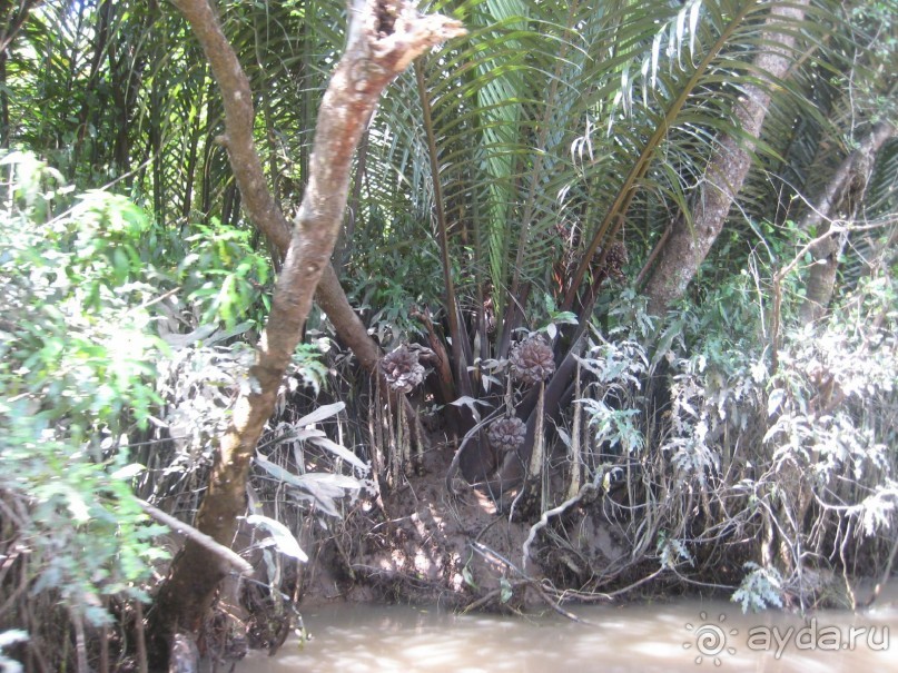 Экскурсия по дельте Меконга