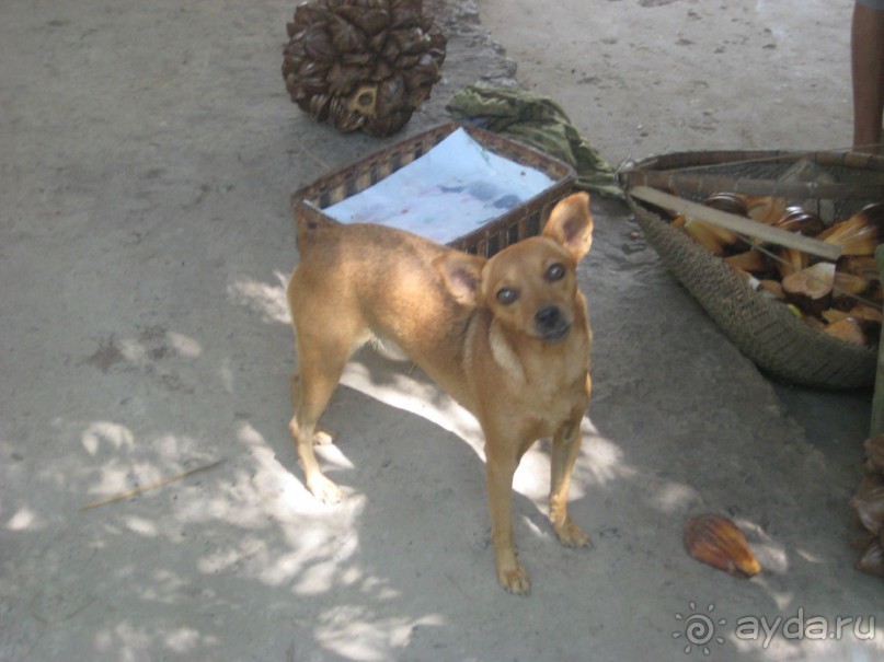 Экскурсия по дельте Меконга