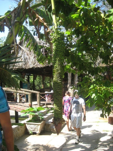 Экскурсия по дельте Меконга