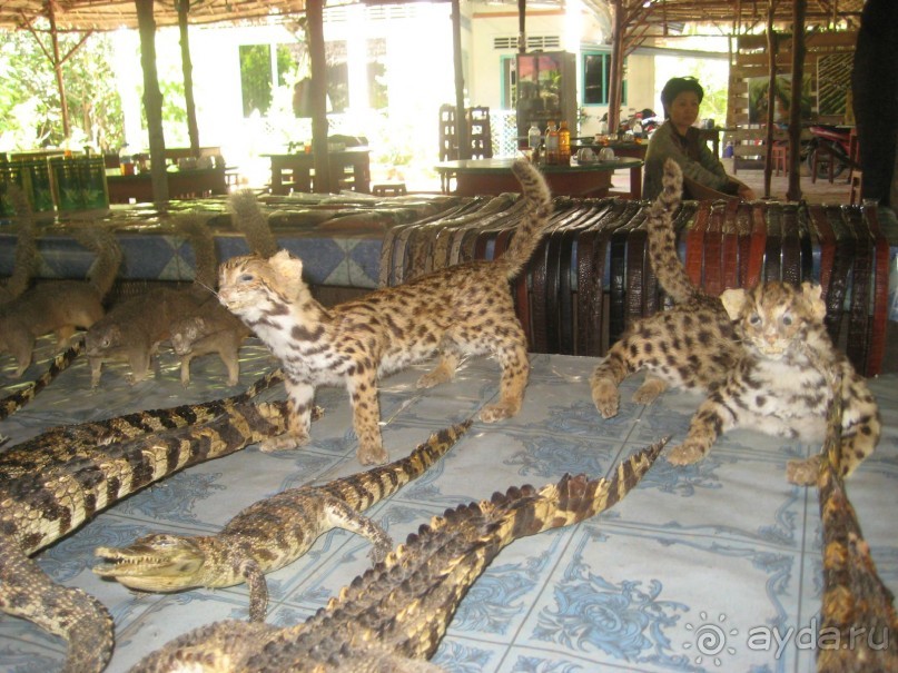 Экскурсия по дельте Меконга