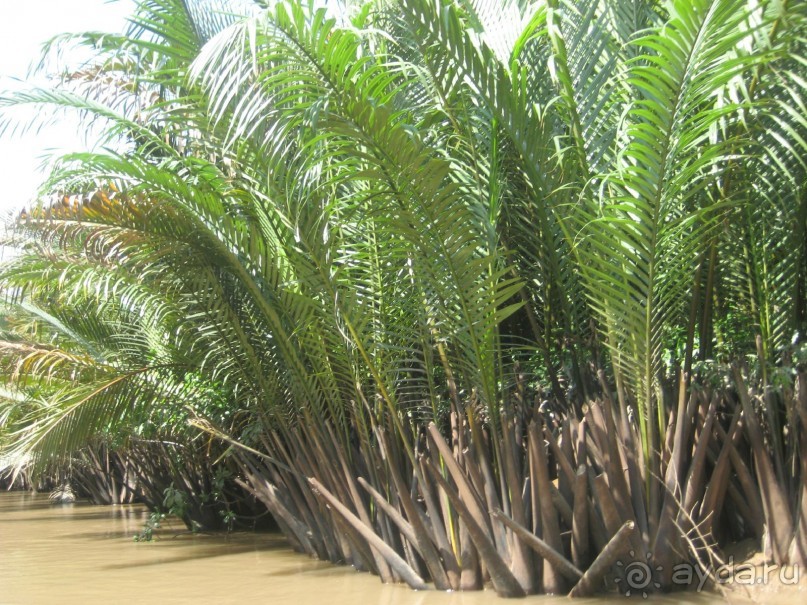 Экскурсия по дельте Меконга