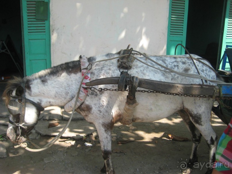 Экскурсия по дельте Меконга