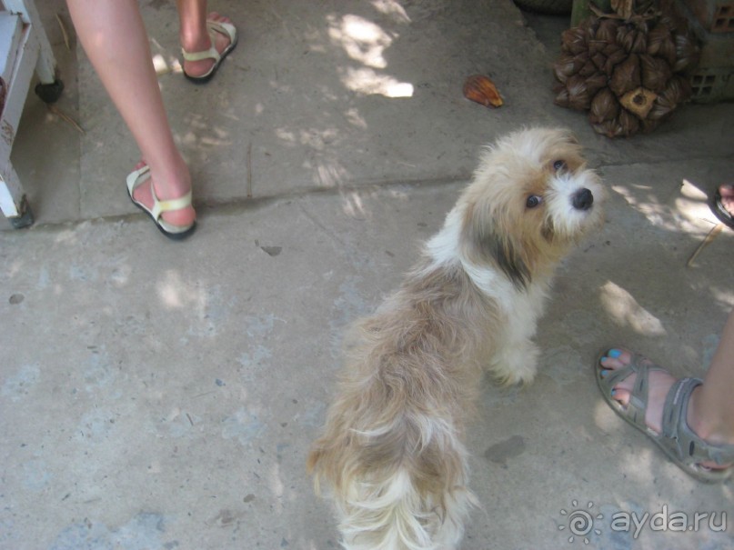 Экскурсия по дельте Меконга