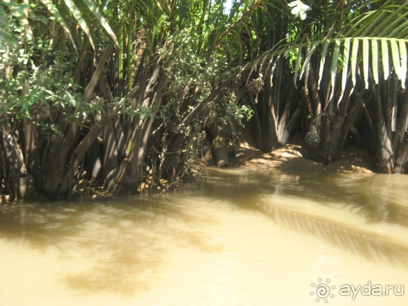 Экскурсия по дельте Меконга