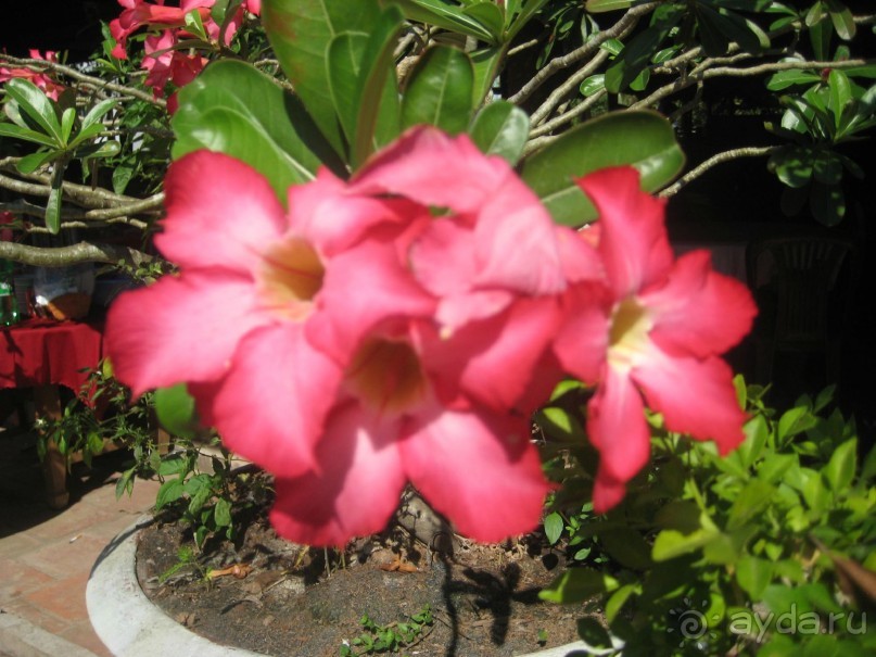 Экскурсия по дельте Меконга