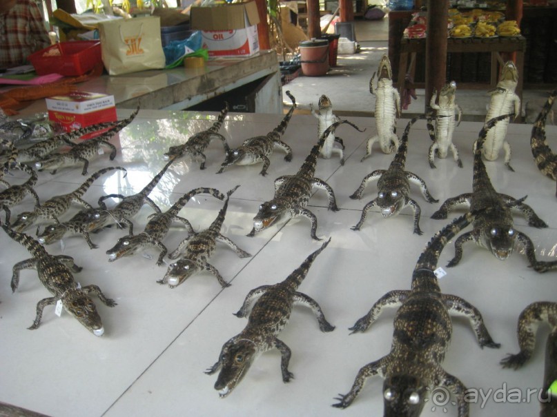 Экскурсия по дельте Меконга