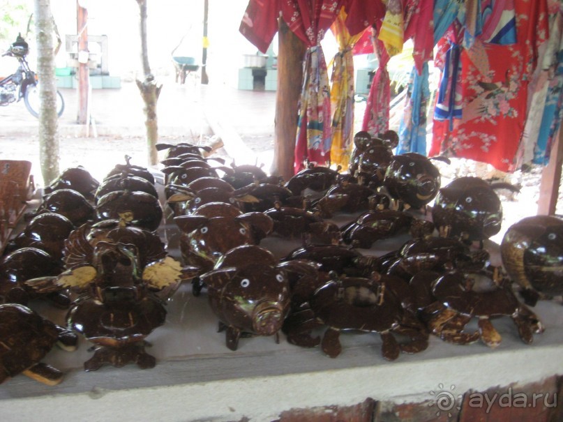 Экскурсия по дельте Меконга