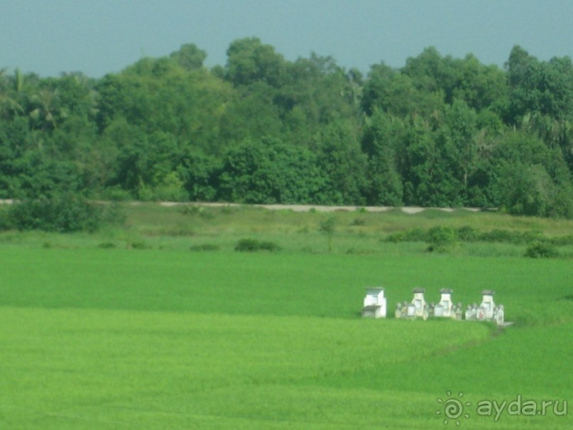 Экскурсия по дельте Меконга