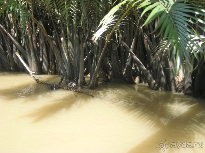 Экскурсия по дельте Меконга