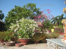 Пагода Винь Чан в Хошимине