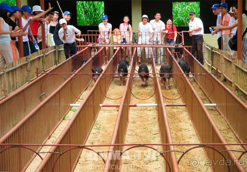 Отдых во Вьетнаме ( г. Нячанг )