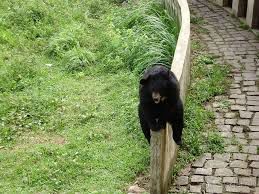 Отдых во Вьетнаме ( г. Нячанг )