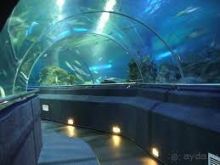 Отдых во Вьетнаме ( г. Нячанг )