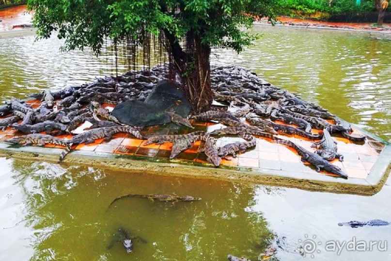 Отдых во Вьетнаме ( г. Нячанг )