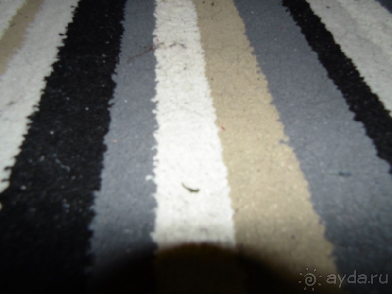 Это был первый и последний раз.