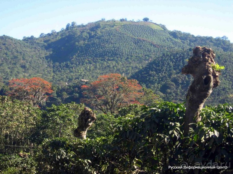 Отдых в городе Нячанг